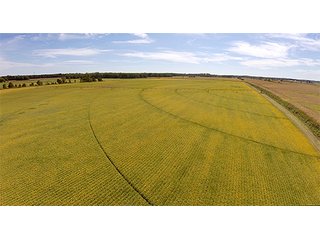 Property photo 14 - REAL ESTATE AUCTION - 230+/- ACRES IN 2 TRACTS IN STARKE COUNTY